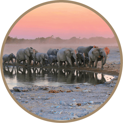 A herd of elephants, including both adults and babies, are crossing a river. AI generated content