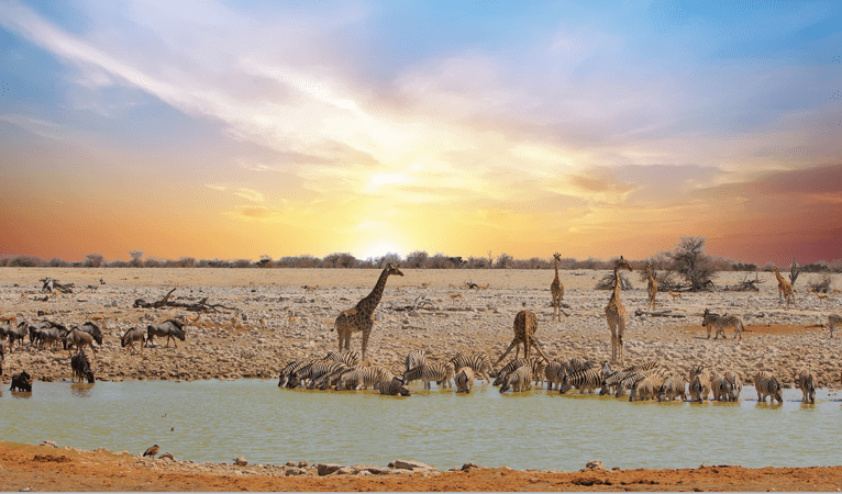 A herd of zebras is drinking water from a pond. AI generated content