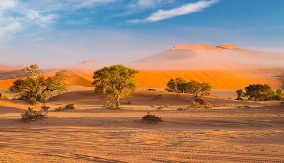 A desert scene with sand dunes and a few trees. AI generated content