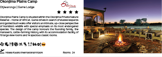 A brochure for a campground with a fire pit and a dining area. AI generated content