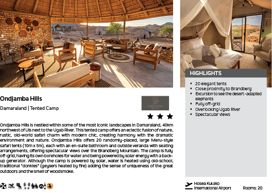 A brochure for a resort in South Africa, featuring a photo of a living room with a couch, chair, and dining table. The brochure also includes a photo of a bedroom with a bed and a chair. AI generated content
