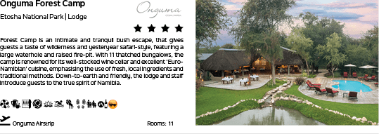 A resort with a swimming pool and a lodge. AI generated content