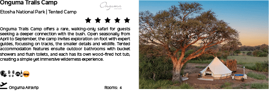 A tree is in front of a tent. AI generated content