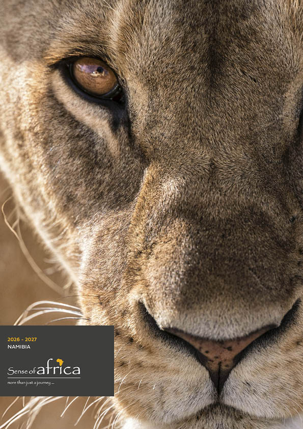 A lion's face with a yellow logo in the bottom left corner. Description generated by AI