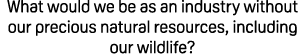 What would we be as an industry without our precious natural resources, including our wildlife?