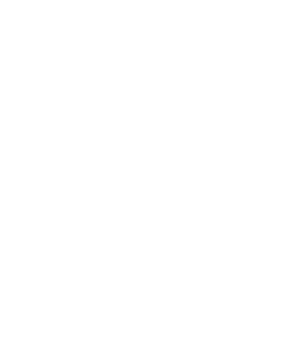 Our Values Our values form the DNA of our business, and are lived by our people. Our power to shine Power P People at...
