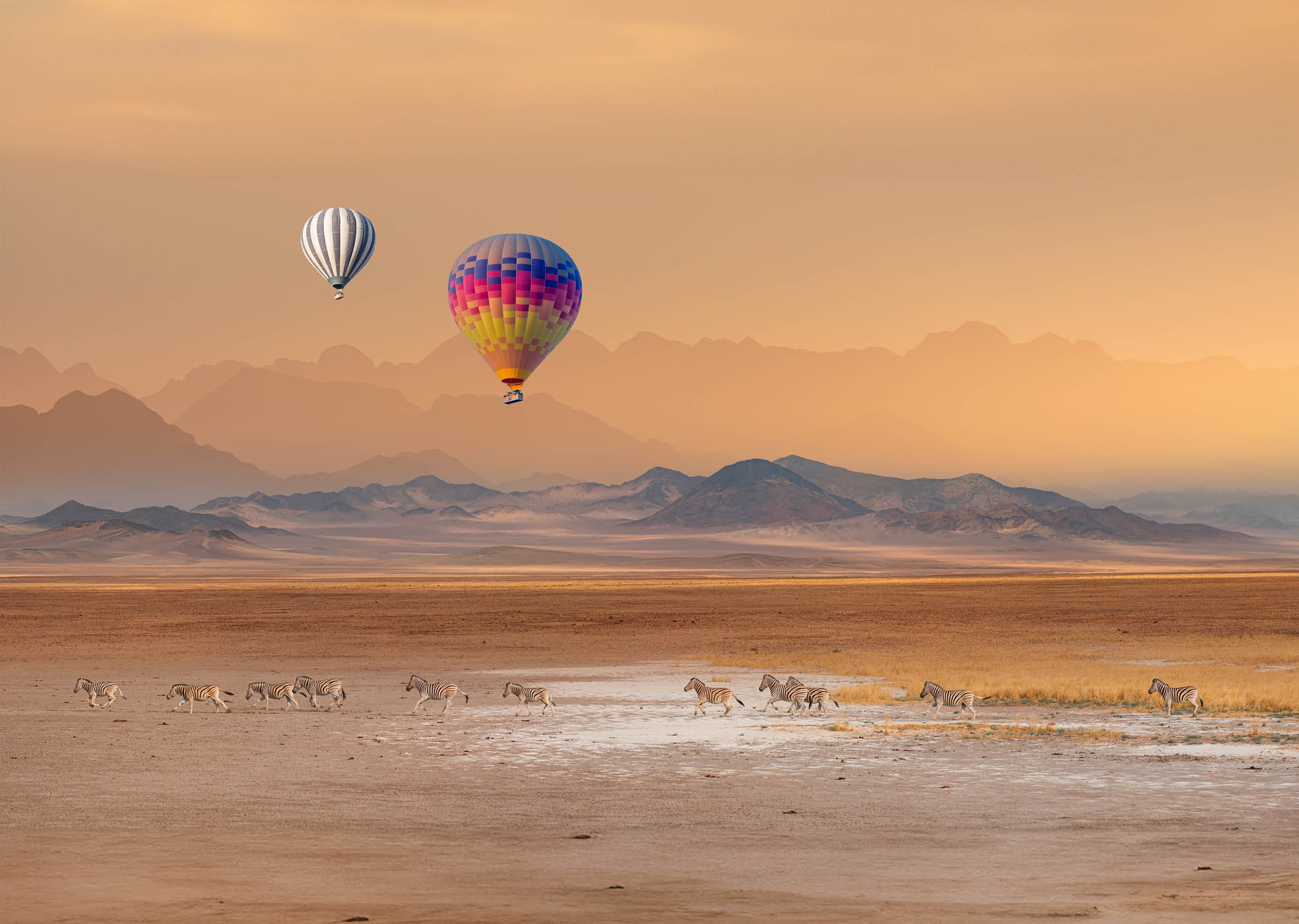Hot air balloon flying over African savannah - Amazing Zebras running across the African savannah - Etosha National Park, Namibia