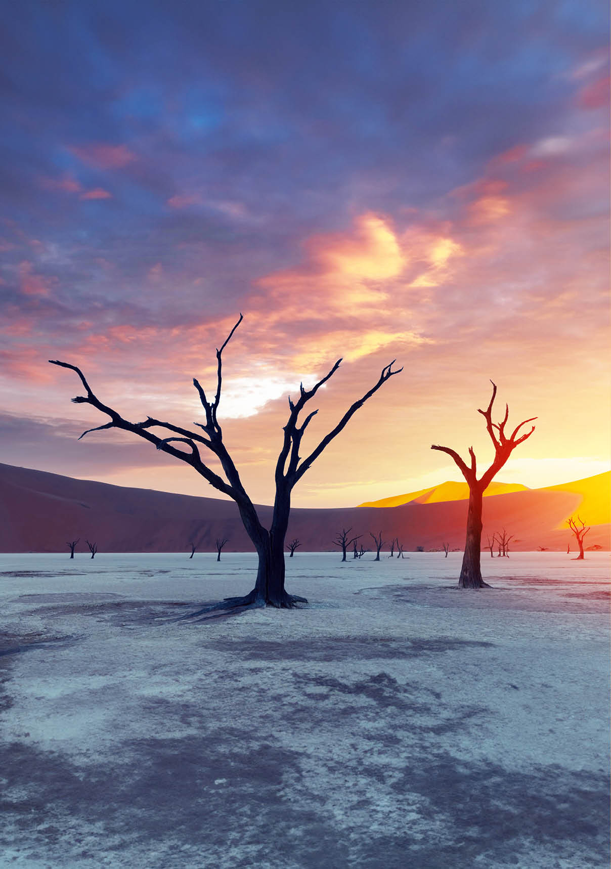 Dead Camelthorn Trees at sunset, Deadvlei, Namib-Naukluft National Park, Namibia, Africa. Dried trees in Namib desert. Landscape photography
