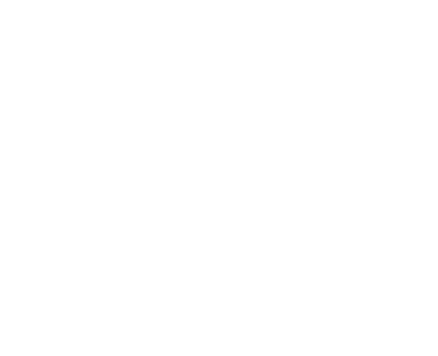 Accommodation: As per itinerary Meals: 12 breakfasts, 8 lunches, and 8 dinners Transfers: Road transfers and light ai...