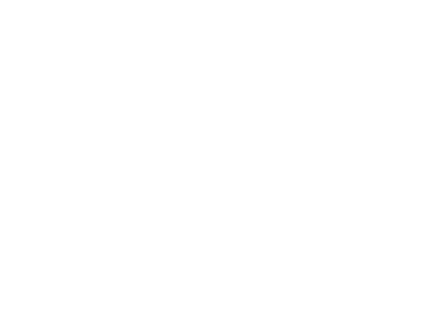 Travel insurance Commercial flights Porterage Visa fees Meals and entrance fees not mentioned Gratuities and personal...