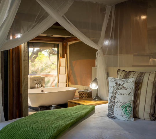 Mashatu Game Reserve. Botswana