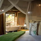 Mashatu Game Reserve. Botswana