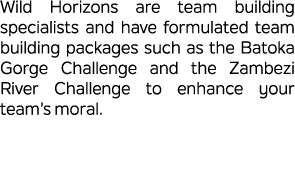 Wild Horizons are team building specialists and have formulated team building packages such as the Batoka Gorge Chall...