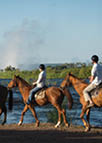 Scenic Horseback Trails