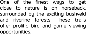 One of the finest ways to get close to nature is on horseback, surrounded by the exciting bushveld and riverine fores...