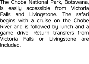 The Chobe National Park, Botswana, is easily accessible from Victoria Falls and Livingstone. The safari begins with a...