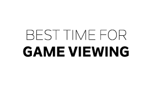 Best time for game viewing