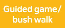 Guided game/bush walk