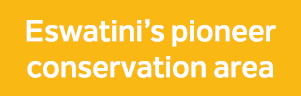 Eswatini’s pioneer conservation area