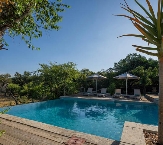 Mashatu Game Reserve. Botswana