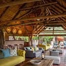 Mashatu Game Reserve. Botswana