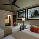 Mashatu Game Reserve. Botswana