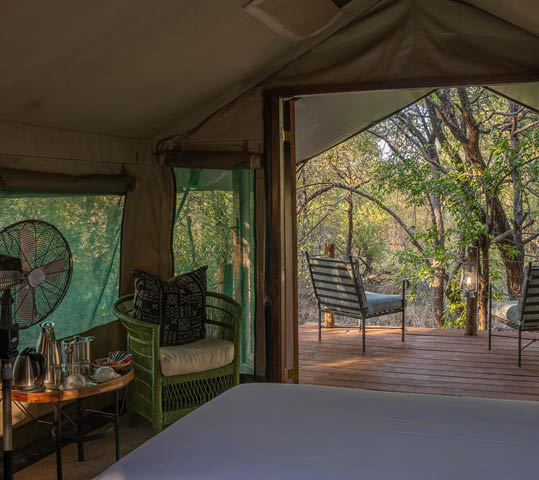 Mashatu Game Reserve. Botswana