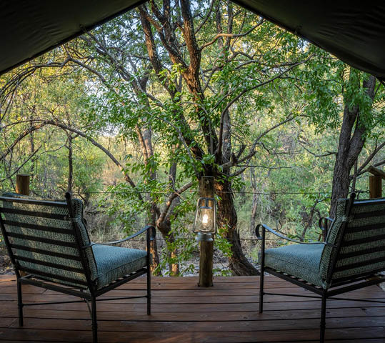 Mashatu Game Reserve. Botswana