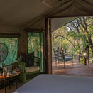 Mashatu Game Reserve. Botswana