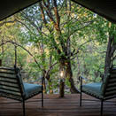 Mashatu Game Reserve. Botswana