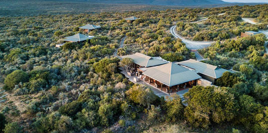 Kwandwe - Eastern Cape - South Africa