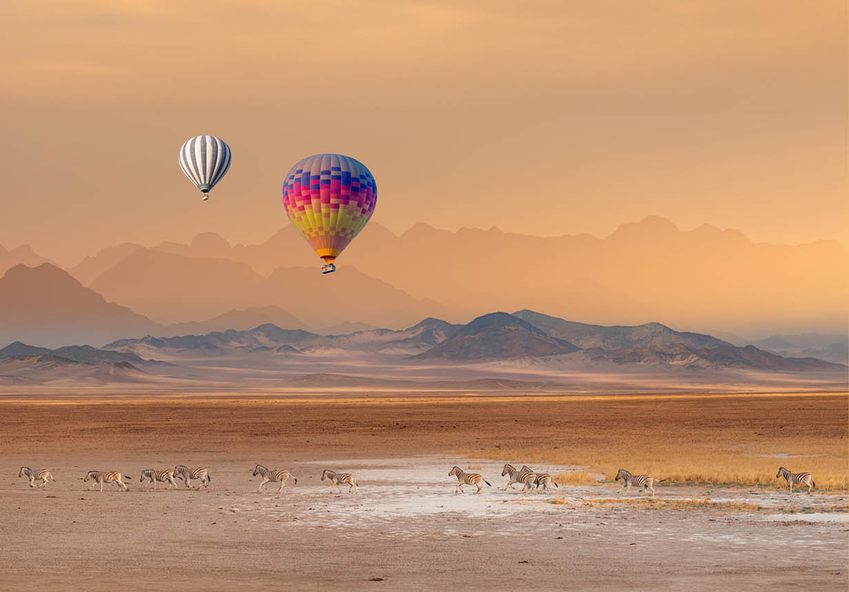 Hot air balloon flying over African savannah - Amazing Zebras running across the African savannah - Etosha National Park, Namibia