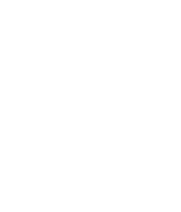 Our Values Our values form the DNA of our business, and are lived by our people. Our power to shine Power P People at...