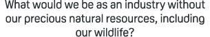 What would we be as an industry without our precious natural resources, including our wildlife?