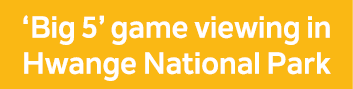 ‘Big 5’ game viewing in Hwange National Park