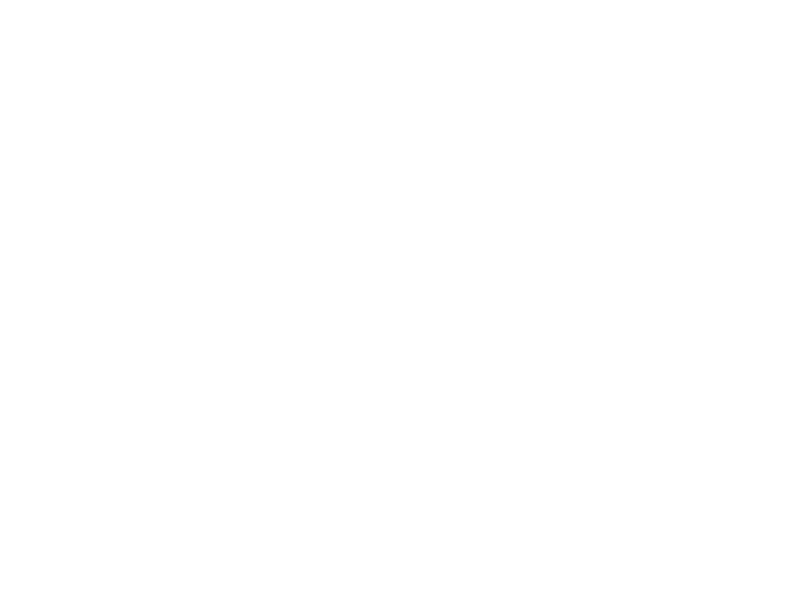 International and regional scheduled flights and visas Travel, medical and personal accident insurance Gratuities and...