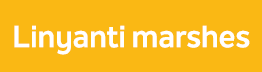 Linyanti marshes