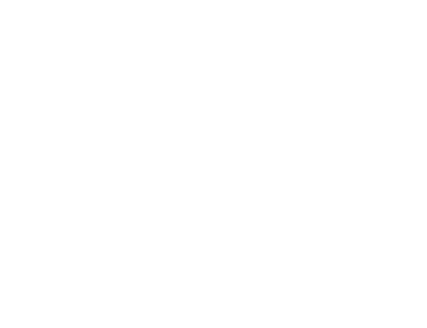 All international / domestic flights and taxes Visas Travel and personal accident insurance Personal expenses Excursi...