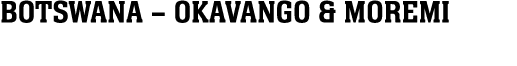 BOTSWANA – OKAVANGO & MOREMI 