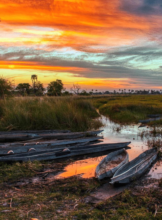 The Mokoros in the sunset, Okawango Delta, Botsuana
