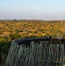 Mashatu Game Reserve. Botswana