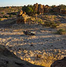 Mashatu Game Reserve. Botswana