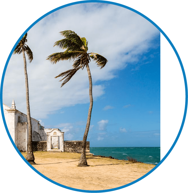 Church and fortress of San Antonio on Mozambique island, with two palm trees on sand. Indian ocean coast, Nampula province, Mozambique. Fortim de Santo Ant nio na Ilha de Mo ambique. 