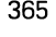 365