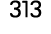 313