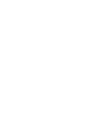 Our Values Our values form the DNA of our business, and are lived by our people. Our power to shine P People at the h...
