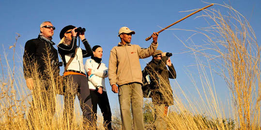 Buschmann-Guide der !Xaus Lodge erkl rt Touristen auf einer Fu wanderung die Natur der Kalahari, Kgalagadi Transfrontier Park, S dafrika, Afrika