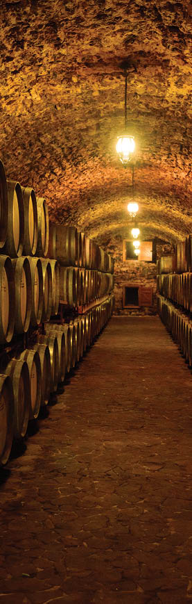 Wine barrels in wine-vaults in order. Wine bottle and barrels in winery cellar