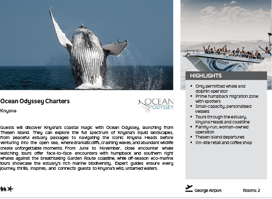 A whale is jumping out of the water. Description generated by AI