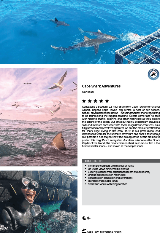 A person wearing a wetsuit and a mask is smiling. Description generated by AI